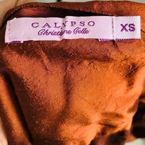 Calypso Christiane Celle Gorgeous 100% SILK Short Sleeve A-Line Wrap Dress! LOVE - Picture 7 of 7